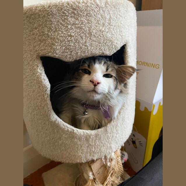 Photo of Mississippi