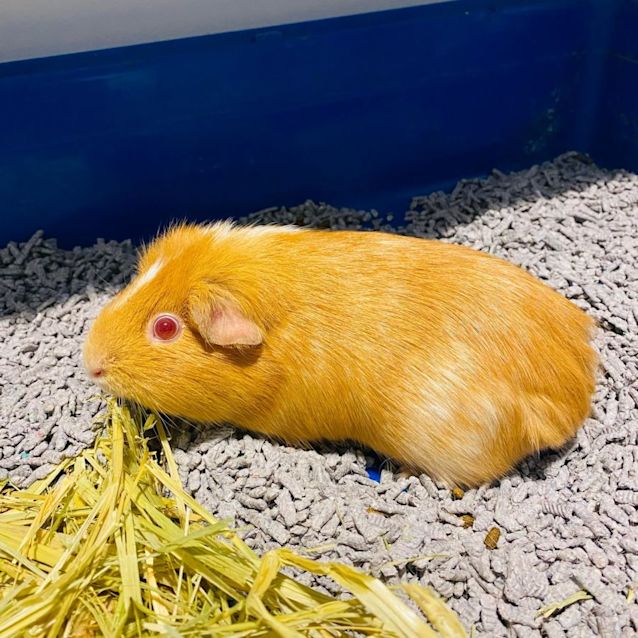 Photo of Ella