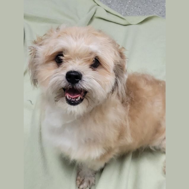 Photo of Teddy