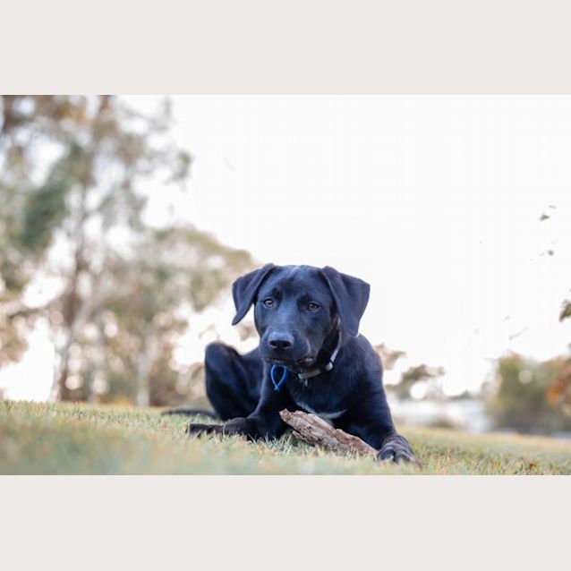 Photo of Balter