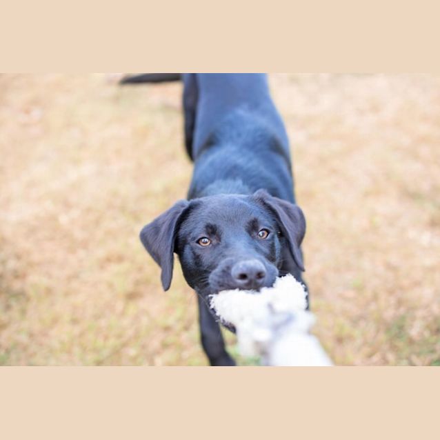 Photo of Balter