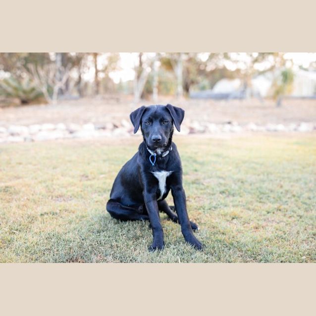 Photo of Balter