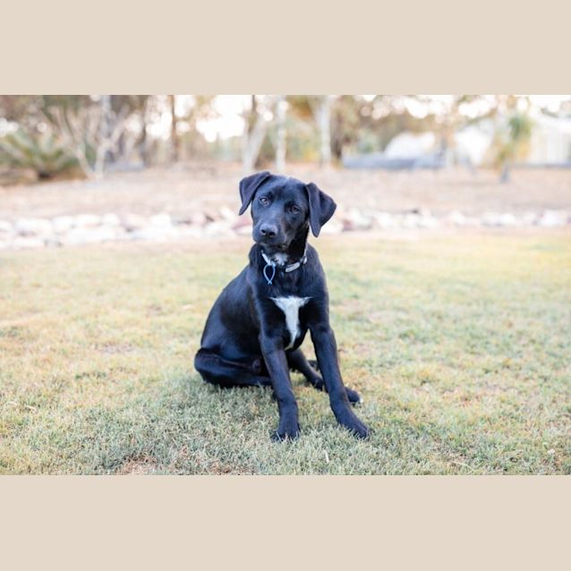 Photo of Balter
