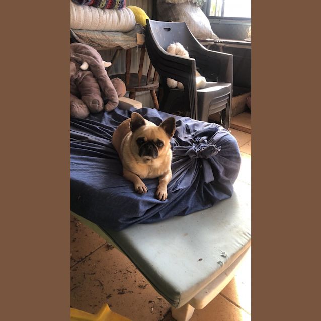 Photo of Jazz  And  Molly