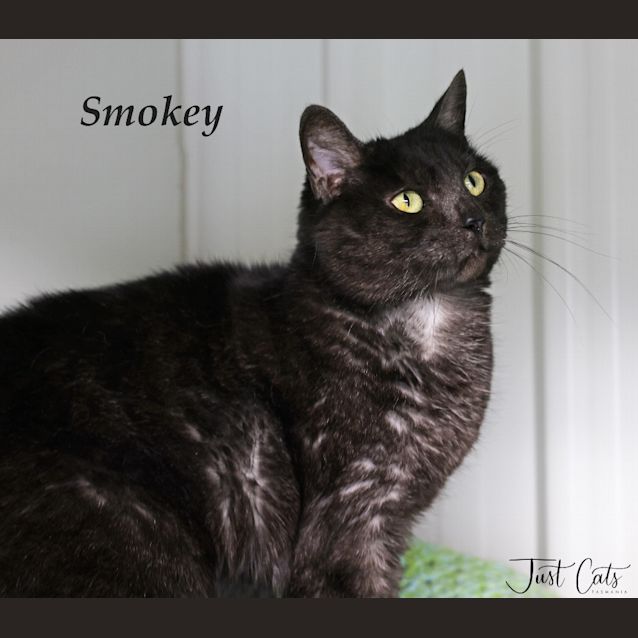 Photo of Smokey