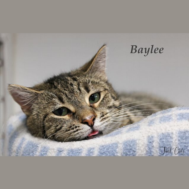 Photo of Baylee