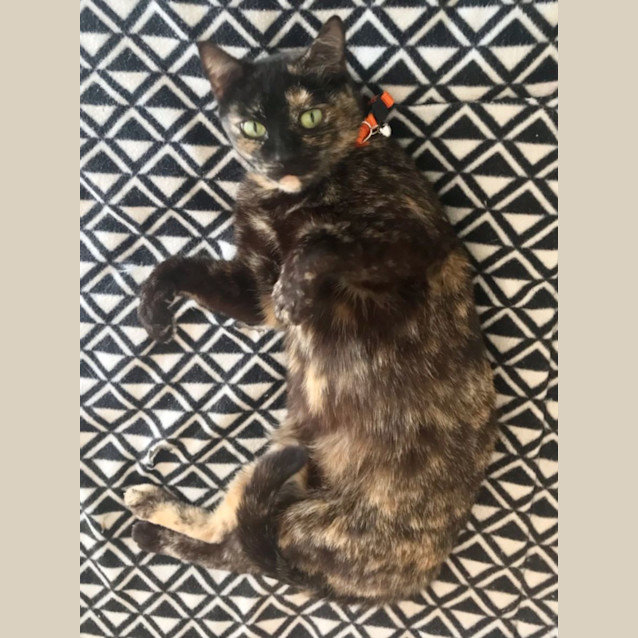 Photo of Ella