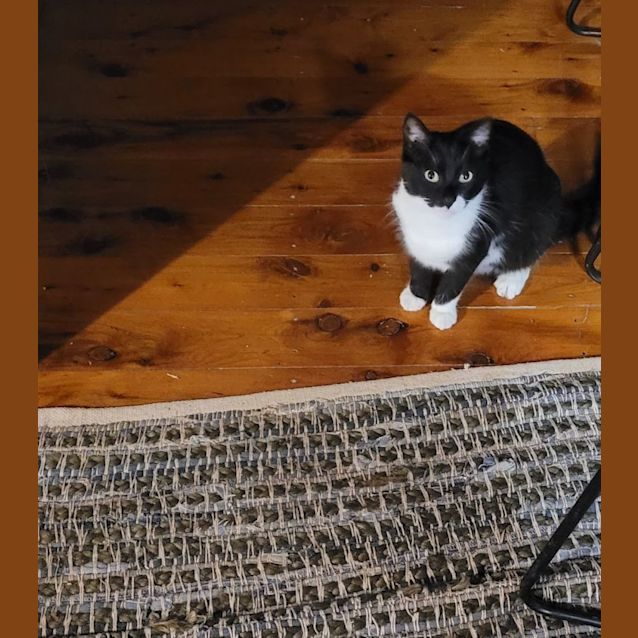 Photo of Boots