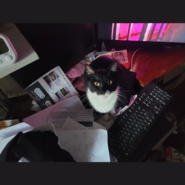 Photo of Boots