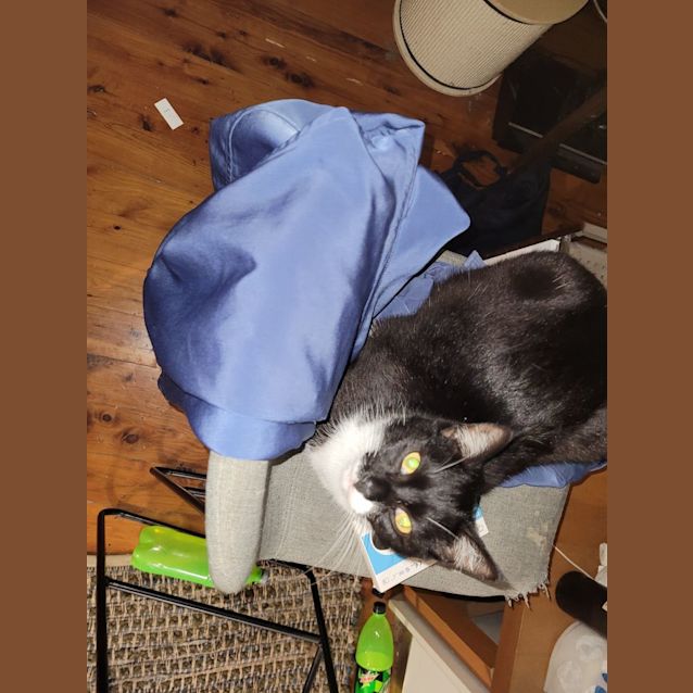 Photo of Boots