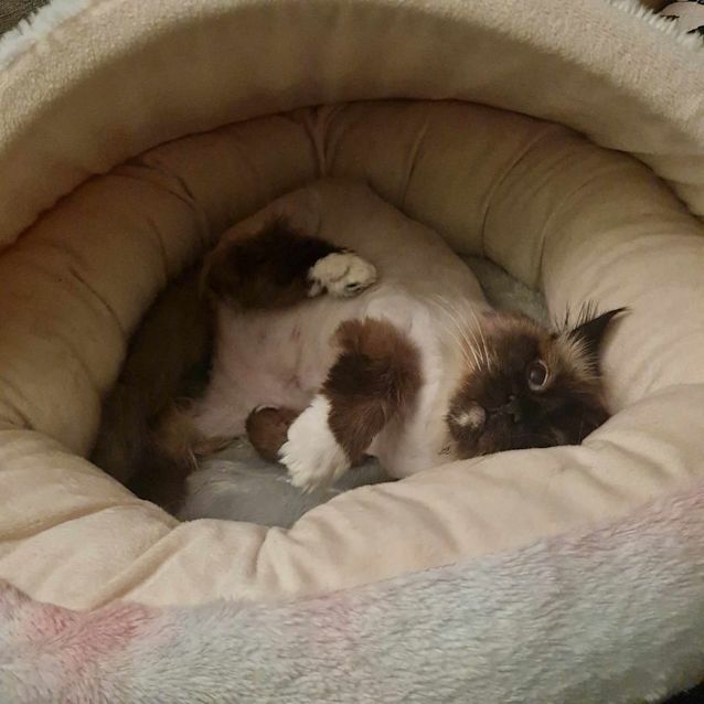 Photo of Gemma   Located In Fawkner