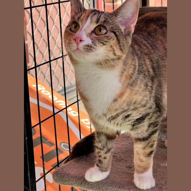 Photo of Elinor & Merida