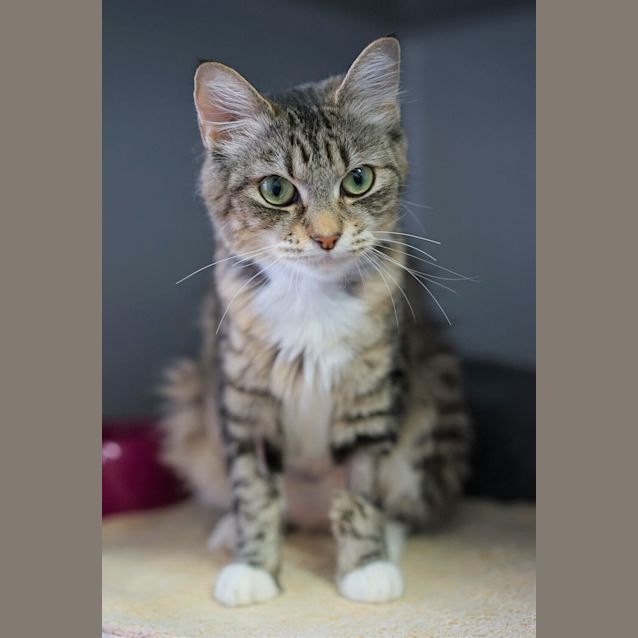 Photo of Relish