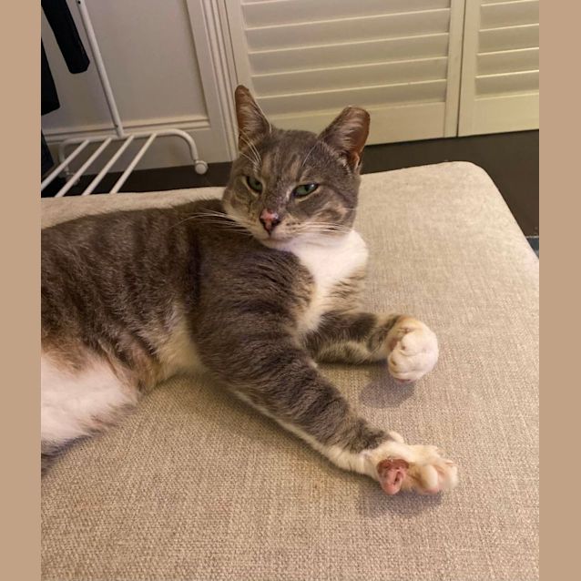 Photo of Mocha