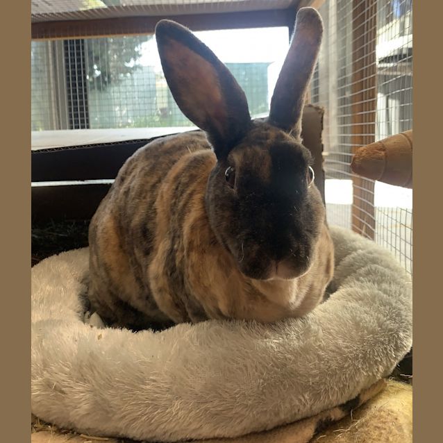 Photo of Betty