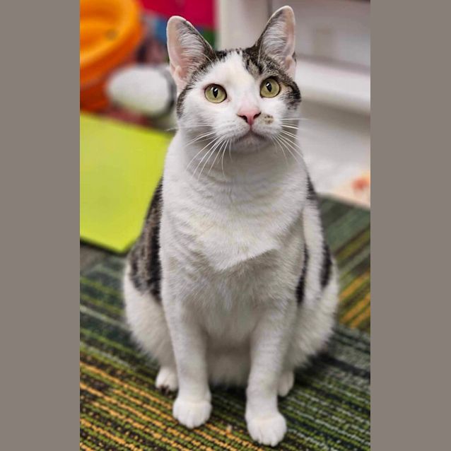 Photo of Florence