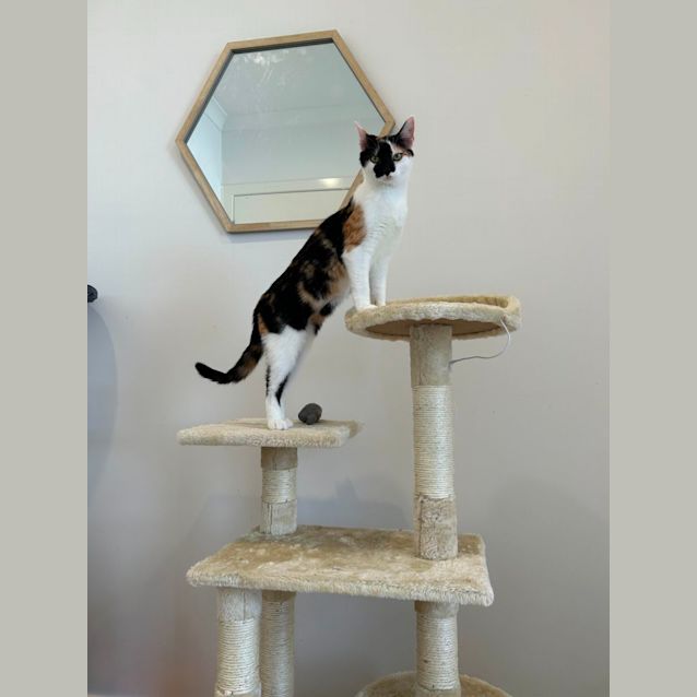 Photo of Penelope