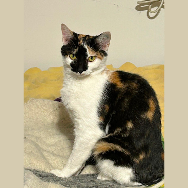 Photo of Penelope