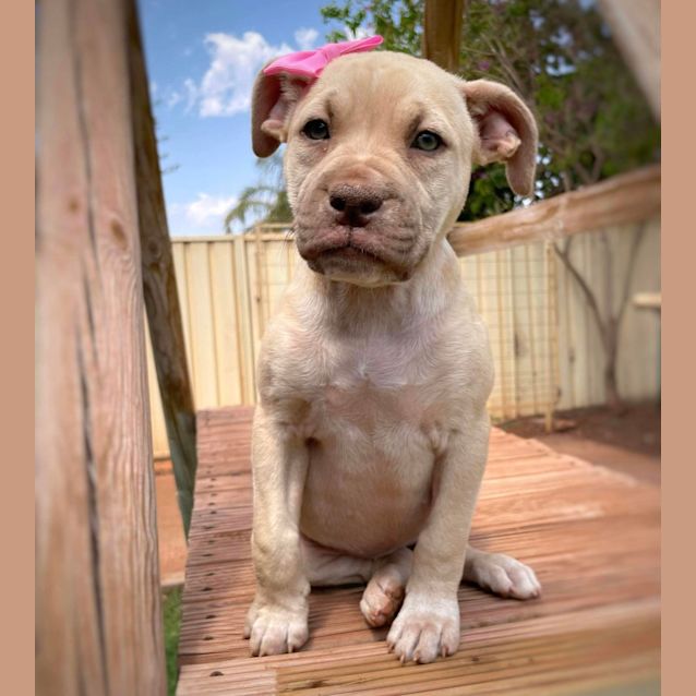 Photo of Princess