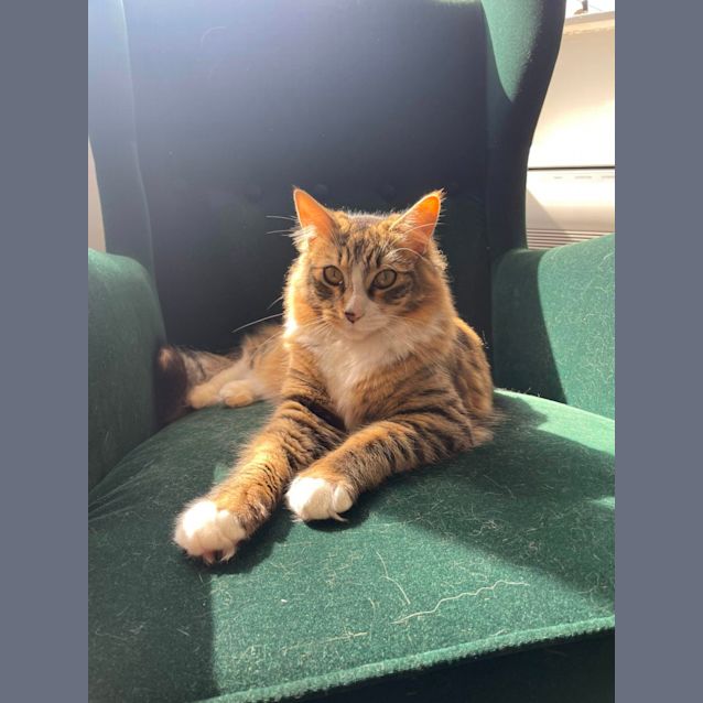 Photo of Rosie