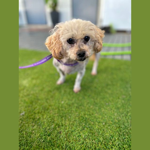 Photo of Charlie