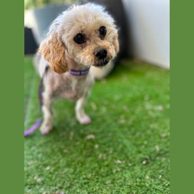 Photo of Charlie