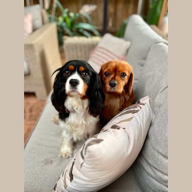 Photo of Ding And Dell