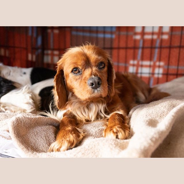 Photo of Ding And Dell