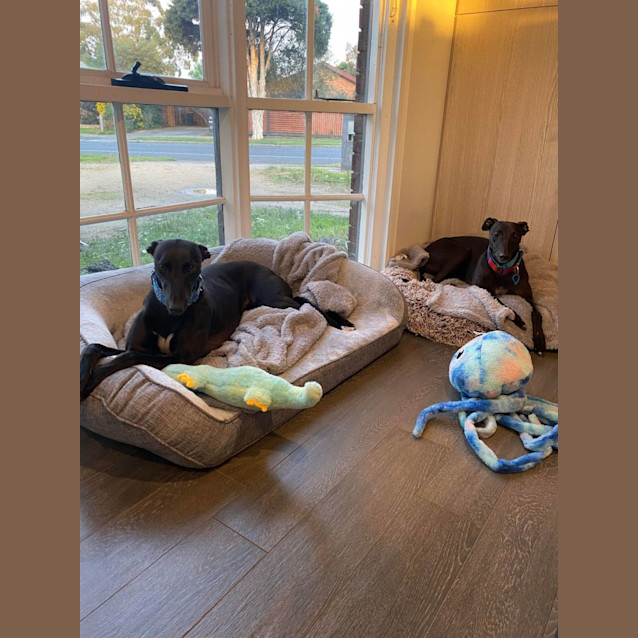 Photo of Thelma And Louise 