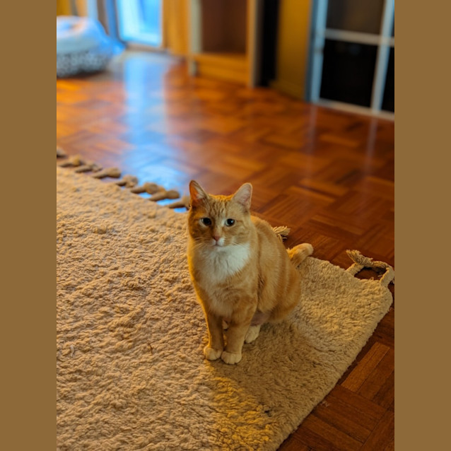 Photo of Celeste