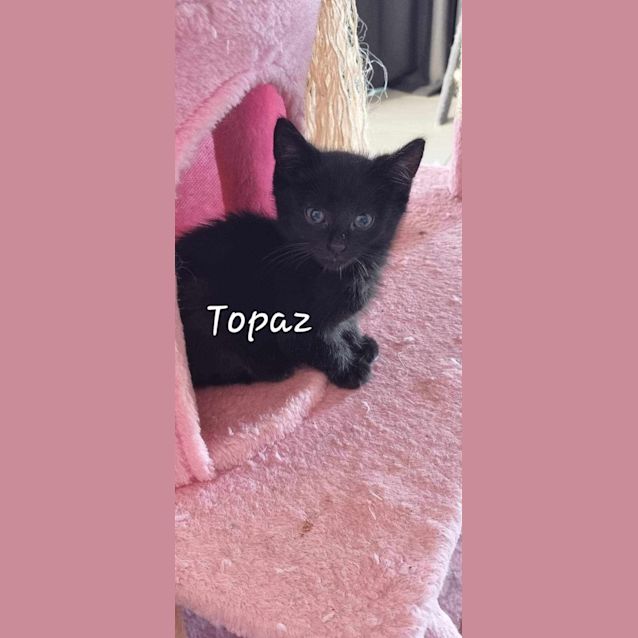 Photo of Topaz