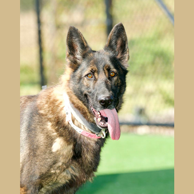 Photo of Penelope Aka Penny