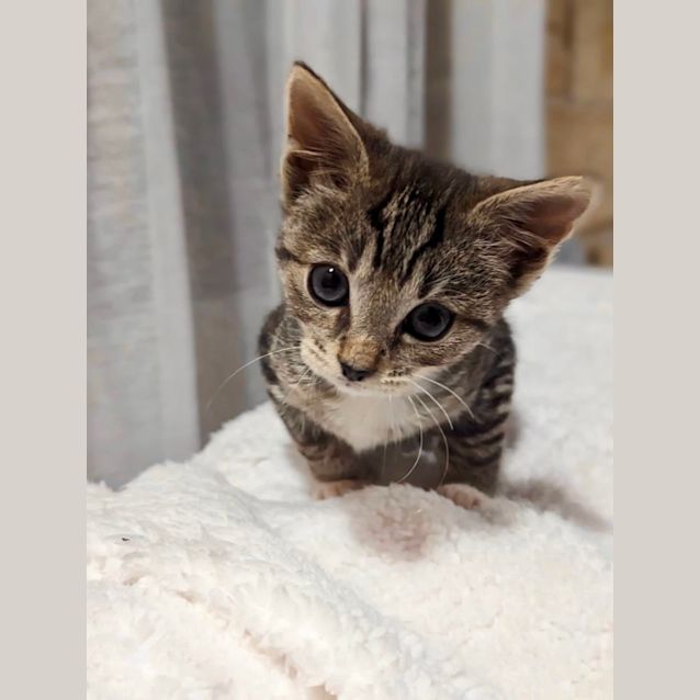 Photo of Jimmy James Hunt 