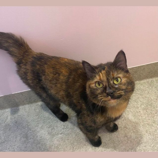 Photo of Spice 