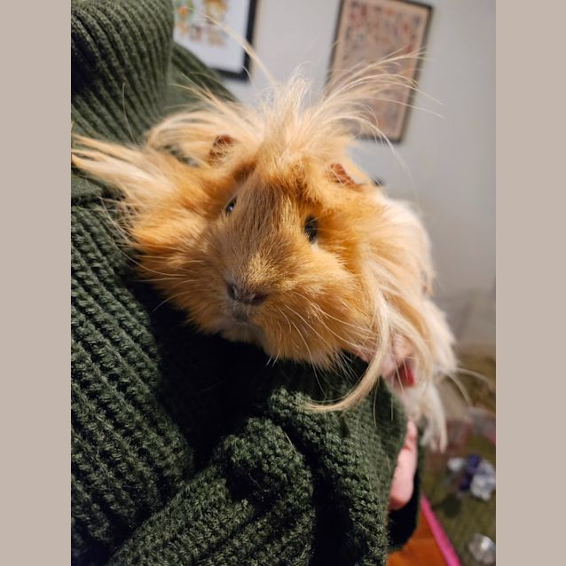 Photo of Barry