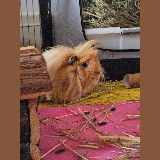 Photo of Barry