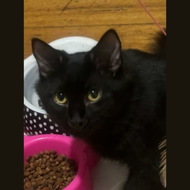 Photo of Aries & Moira