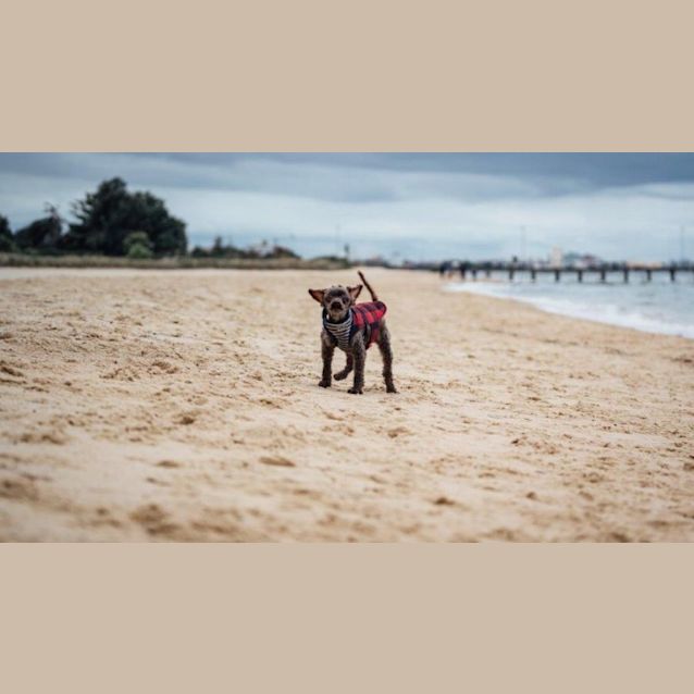 Photo of Zeus Rivero