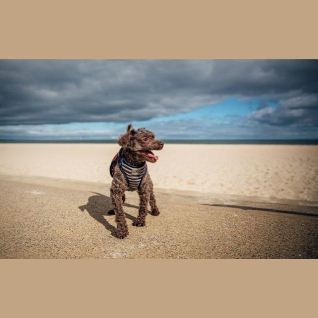 Photo of Zeus Rivero