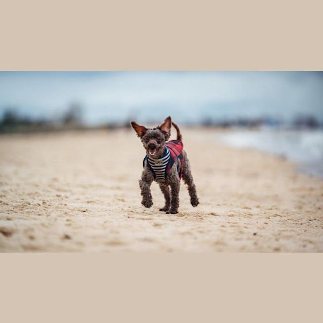 Photo of Zeus Rivero