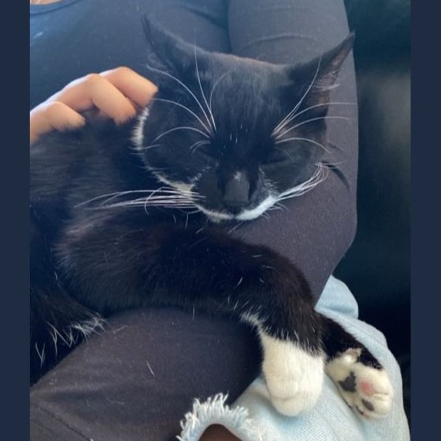 Photo of Tux