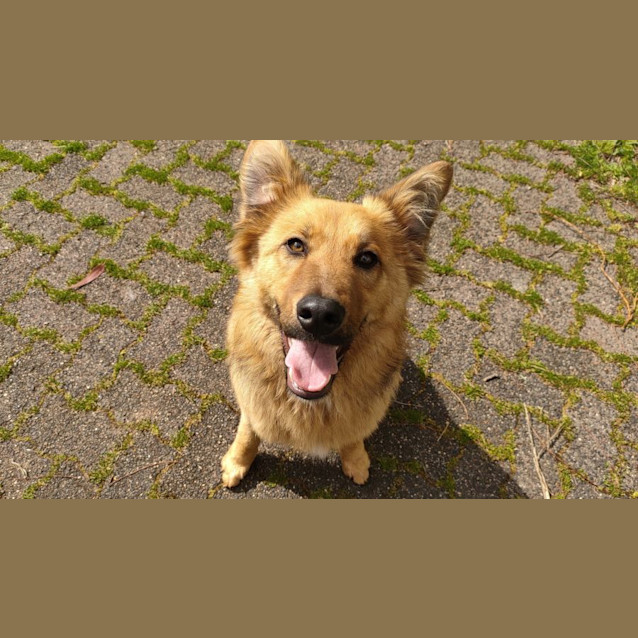 Photo of Bear Van Winkle