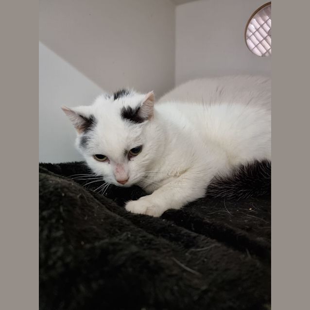 Photo of Percy