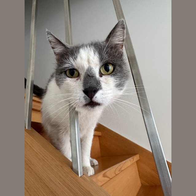 Photo of Calvin 💙