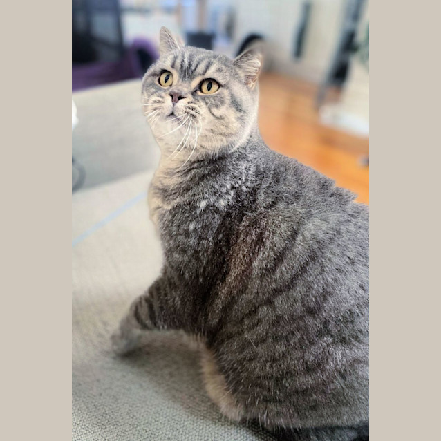 Photo of 💙Bobby & Sasha💙