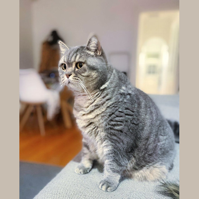 Photo of 💙Bobby & Sasha💙