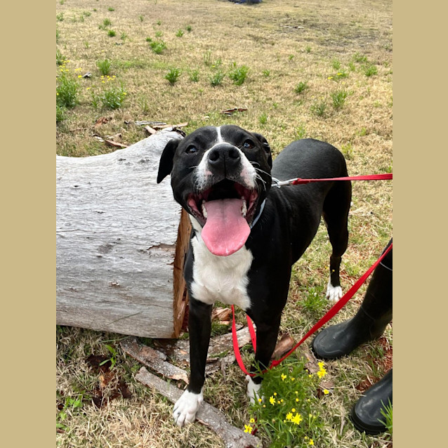 Photo of Hershey