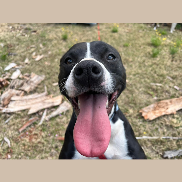 Photo of Hershey
