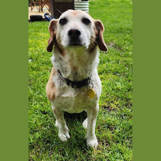 Photo of Chloe