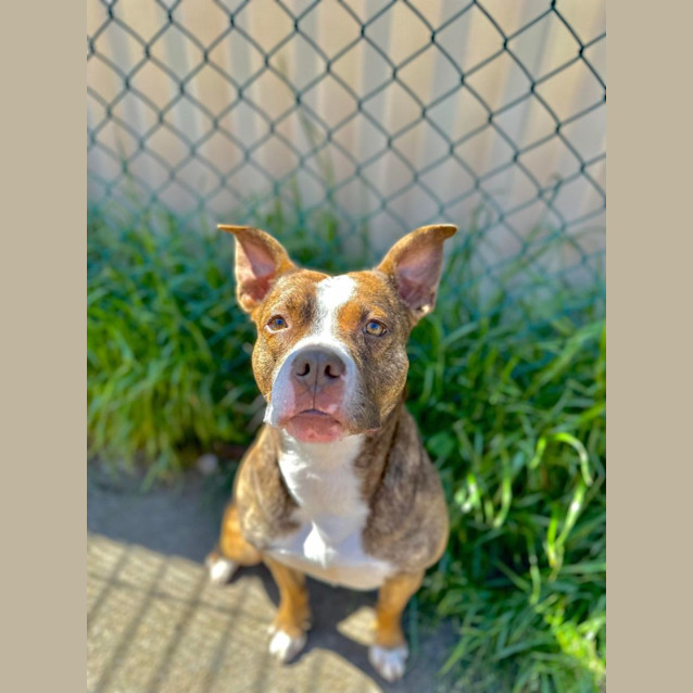 Photo of Mystique